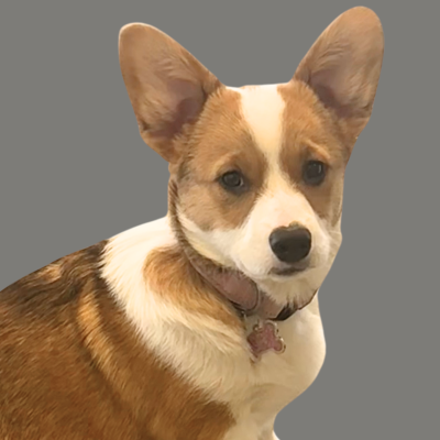 Picture of Twinkie