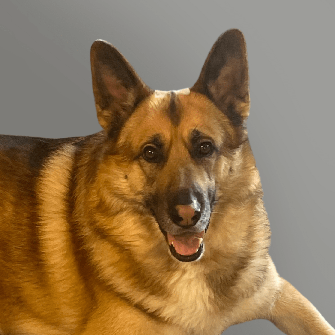 Picture of Hemi