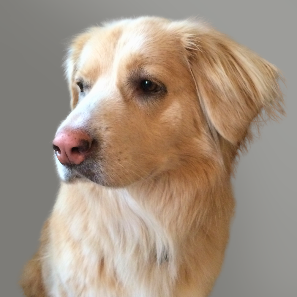 Picture of Maggie